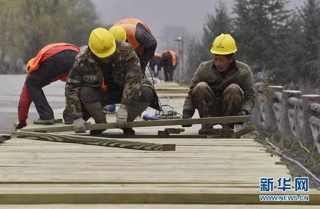 蘆山地震最新消息,蘆山地震最新消息，救援進展與災(zāi)后重建工作