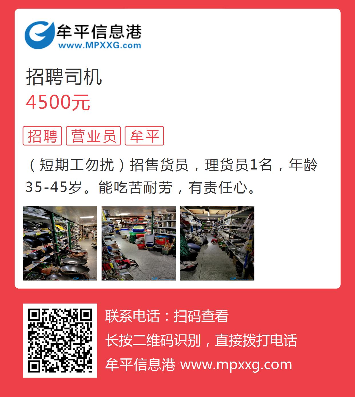 平原信息港最新招聘,平原信息港最新招聘動(dòng)態(tài)及其影響