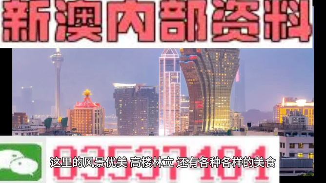 新澳門精準(zhǔn)資料大全管家婆料,新澳門精準(zhǔn)資料大全與管家婆料，深度解析與實(shí)際應(yīng)用