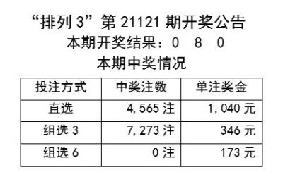 2024新奧歷史開獎記錄56期,揭秘新奧歷史開獎記錄第56期，探尋背后的故事與啟示