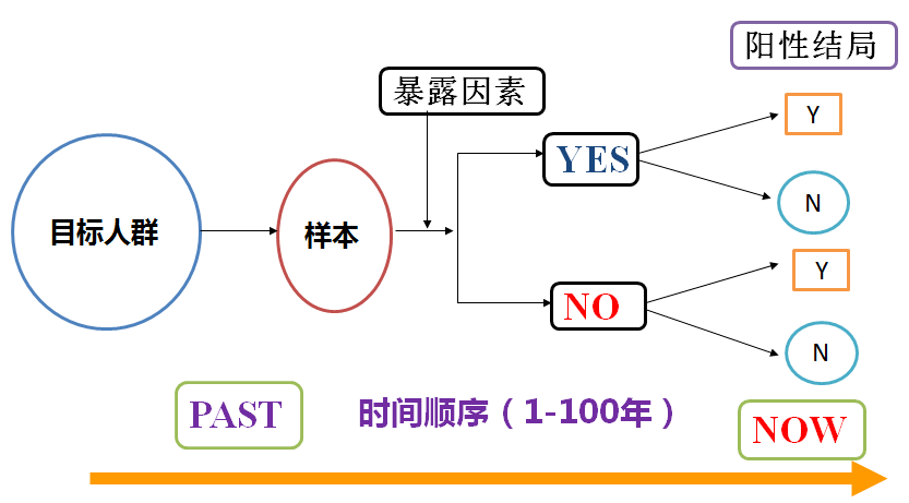 正版資料免費資料大全十點半,正版資料與免費資料大全，探索與利用的最佳實踐