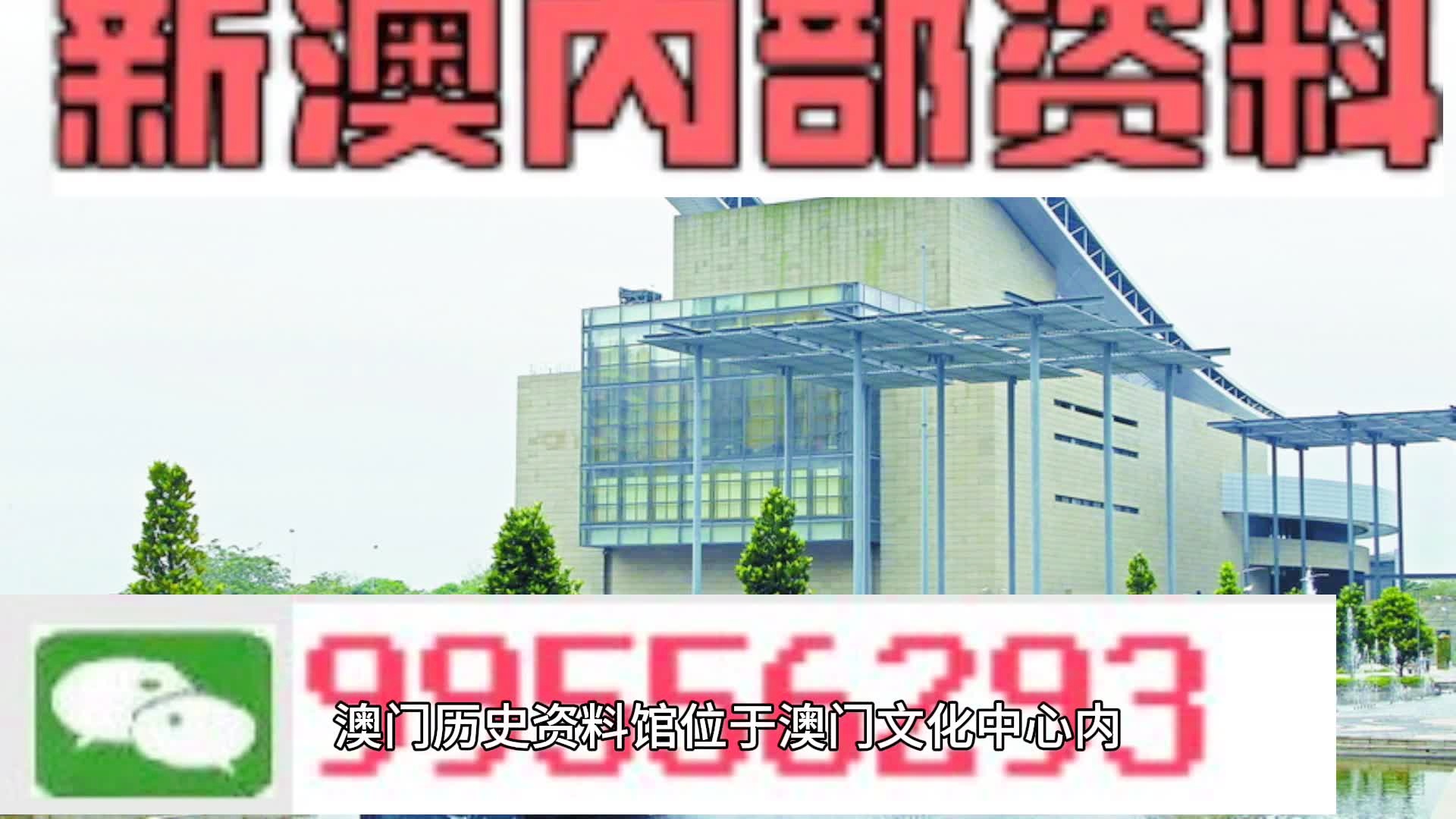 新澳2024年精準一肖一碼,新澳2024年精準一肖一碼，預測與策略分析