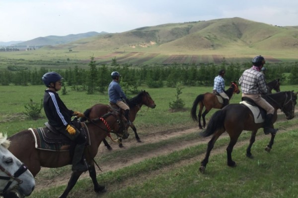 澳門今晚開特馬四不像圖,澳門今晚開特馬四不像圖，揭示違法犯罪背后的真相