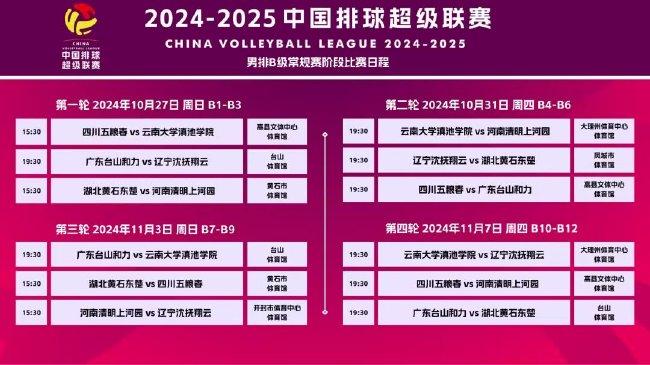 新澳2024大全正版免費,新澳2024大全正版免費，探索彩票世界的機遇與挑戰(zhàn)