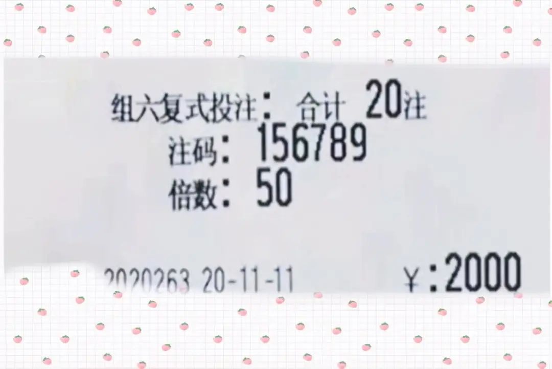 2024年新澳門今晚開獎結(jié)果2024年,揭秘2024年新澳門今晚開獎結(jié)果——探尋彩票背后的故事