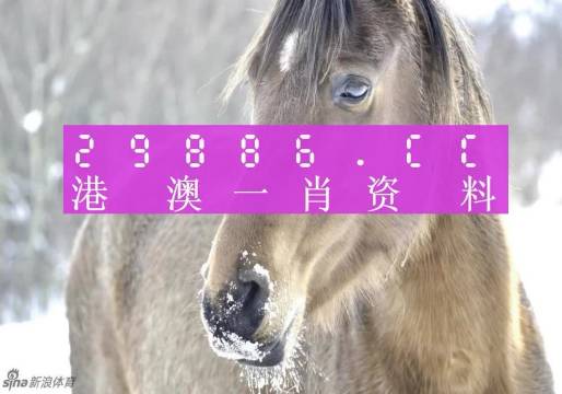 澳門(mén)一肖一碼100%精準(zhǔn),澳門(mén)一肖一碼，揭秘所謂的精準(zhǔn)預(yù)測(cè)背后的真相