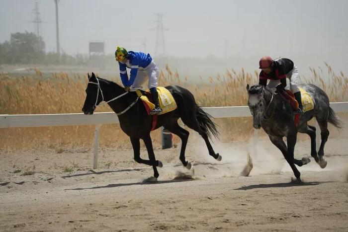 2024今晚香港開特馬,今晚香港開特馬，探索賽馬文化，體驗速度與激情