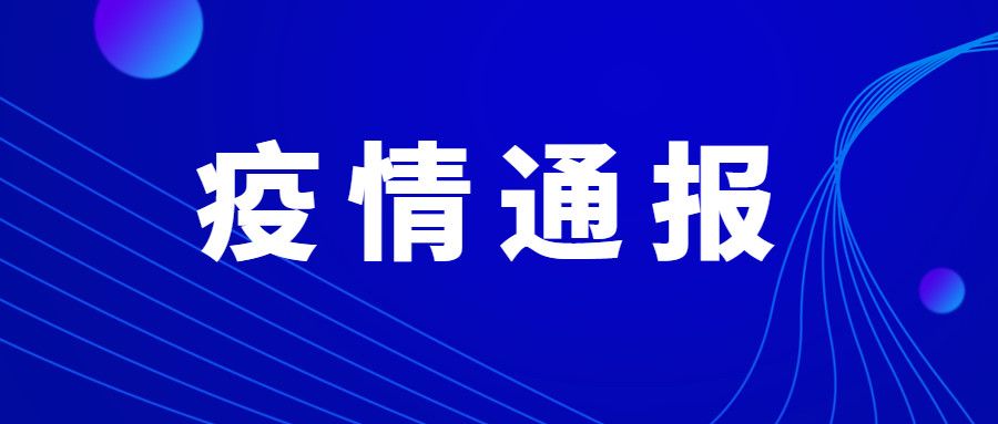 新澳門管家婆一句,新澳門管家婆一句，揭示背后的智慧與策略