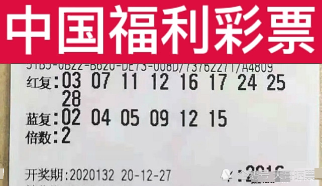 2024年新澳門今晚開獎結果,揭秘澳門今晚開獎結果，探尋彩票背后的故事與期待