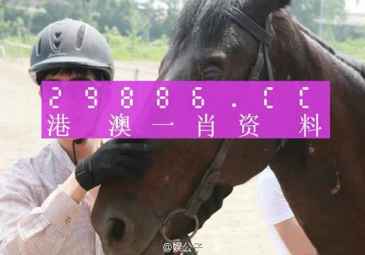 澳門精準(zhǔn)一肖一碼一碼,澳門精準(zhǔn)一肖一碼一碼，揭示背后的真相與警示