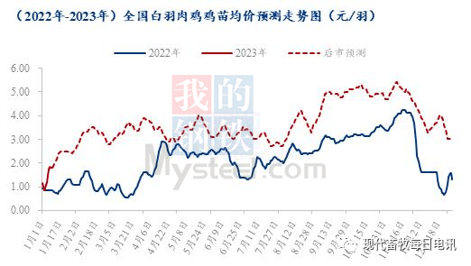 2024新奧門資料雞號(hào)幾號(hào),關(guān)于新奧門資料雞號(hào)的探討與預(yù)測(cè)——以2024年為背景的分析