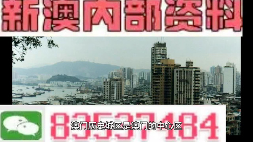 2024澳門精準(zhǔn)正版澳門,澳門精準(zhǔn)正版與犯罪問題探討