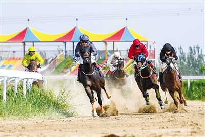 2024今晚香港開特馬,今晚香港開特馬，探索賽馬文化，體驗速度與激情