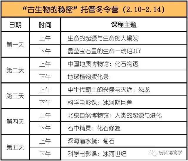 2024新奧正版資料免費(fèi)大全,最新答案,探索未來(lái)奧秘，2024新奧正版資料免費(fèi)大全與最新答案解析