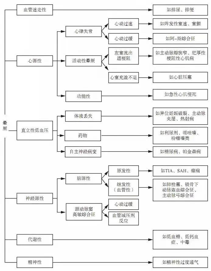 555525王中王四肖四碼,揭秘彩票背后的秘密，探索555525王中王四肖四碼的魅力