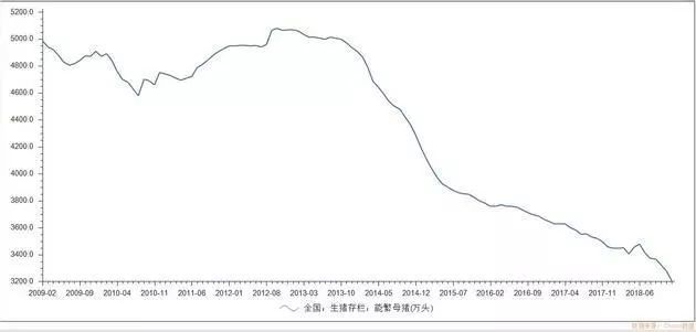 能繁母豬存欄最新數據,能繁母豬存欄最新數據，揭示行業(yè)趨勢與未來發(fā)展