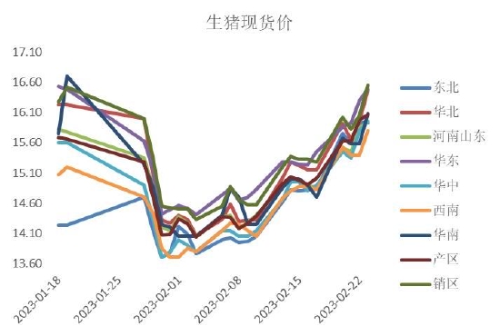 最新豬價(jià),最新豬價(jià)動(dòng)態(tài)及其對產(chǎn)業(yè)鏈的影響