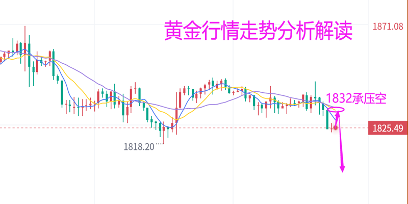 2024年12月12日 第56頁