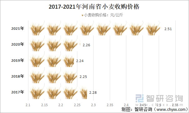 山東今天小麥最新價格,山東今天小麥最新價格動態(tài)分析