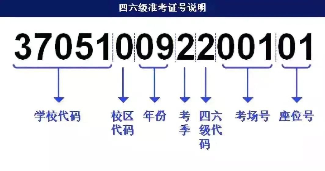 2024新澳門掛牌,快速解答方案設(shè)計_強勁版77.995