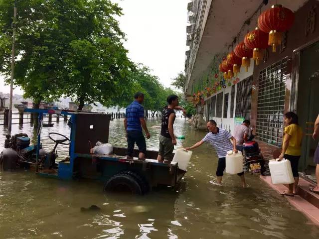 肇慶洪水最新消息,肇慶洪水最新消息，災(zāi)害應(yīng)對(duì)與重建工作的進(jìn)展