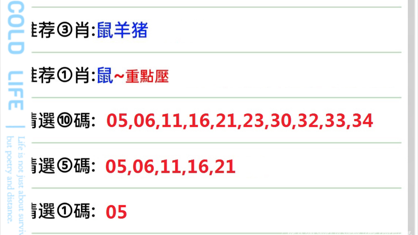 2024年12月21日 第123頁