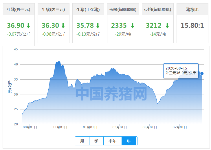 三肖必中特三肖必中,處于迅速響應(yīng)執(zhí)行_緊湊版65.710