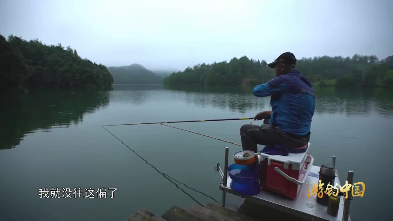 最新釣魚視頻,最新釣魚視頻，探索垂釣的樂趣與技巧