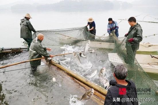 捕魚最新,最新捕魚技術(shù)與方法，探索現(xiàn)代捕魚業(yè)的革新之路