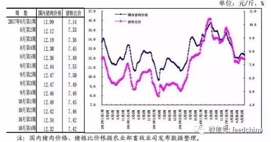 豬最新價格,豬最新價格動態(tài)分析