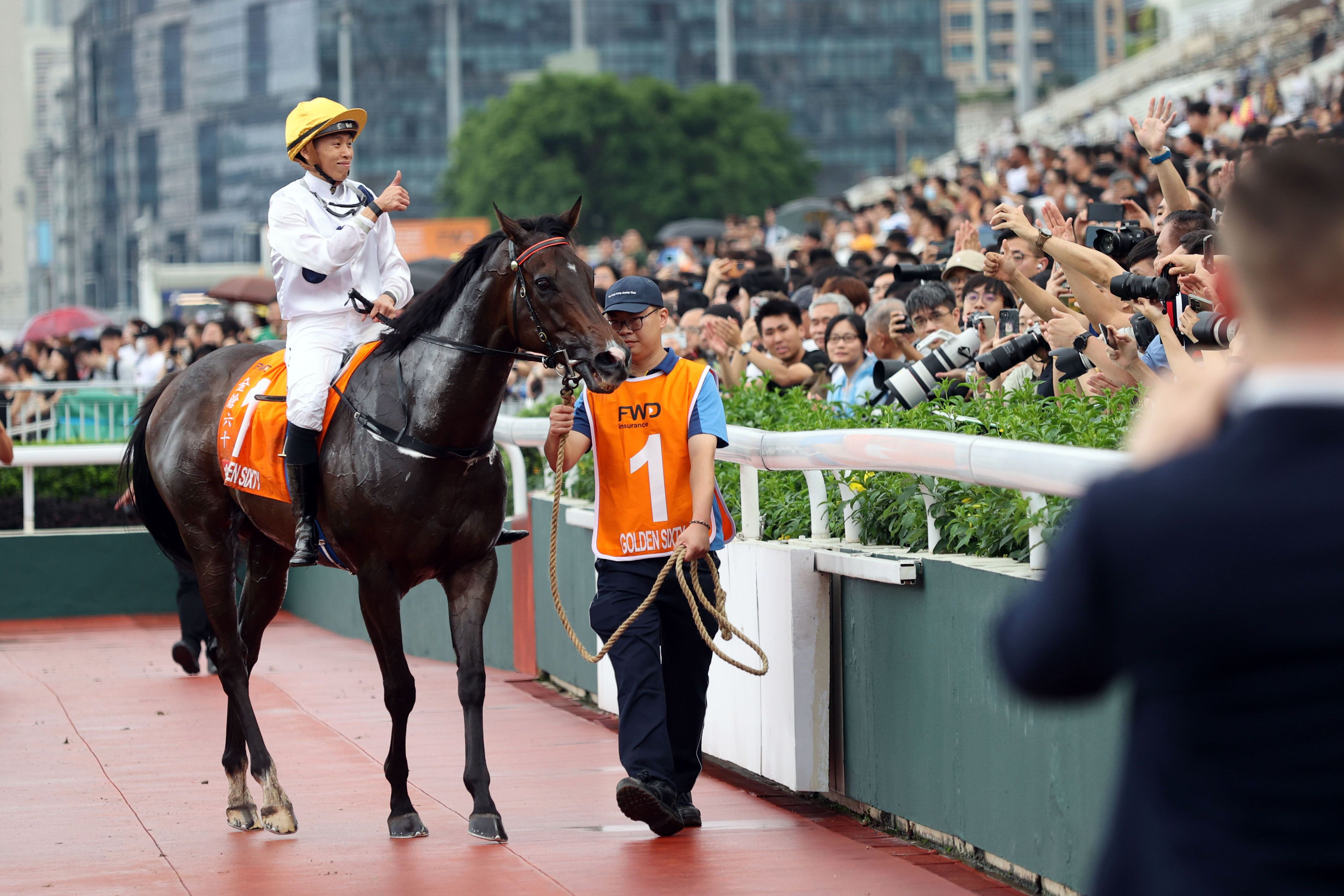 2024香港賽馬全年免費(fèi)資料,全身心數(shù)據(jù)指導(dǎo)枕_兼容版40.246