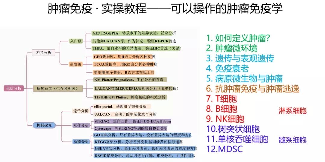 2024年正版資料全年免費(fèi),機(jī)制評(píng)估方案_養(yǎng)生版50.985