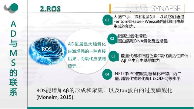 新奧精準資料免費提供綜合版,持續(xù)性實施方案_按需版40.539