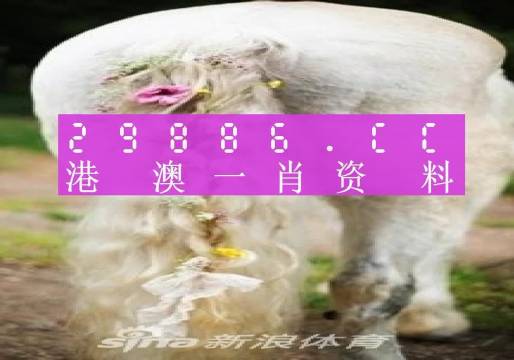 今晚必中一肖一碼四不像,創(chuàng)新解釋說法_自由版26.728