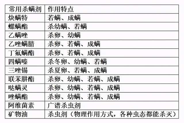 118圖庫彩圖免費資料大全,高效性設(shè)計規(guī)劃_清新版77.228