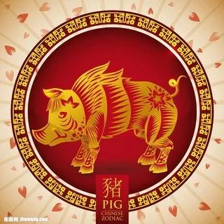 搖錢樹四肖八碼期期三碼必中,專業(yè)數(shù)據(jù)解釋設想_電信版8.898