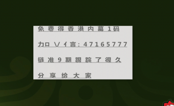 2004新澳正版兔費大全|一舉釋義解釋落實,探索新澳正版兔費大全，一舉釋義解釋落實的奧秘