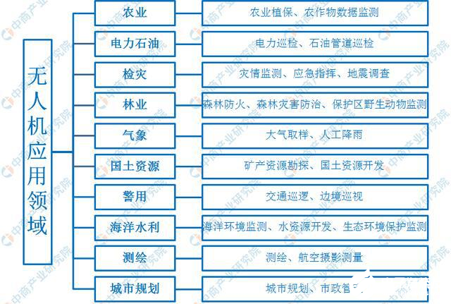 2024十二生肖49個(gè)碼|損益釋義解釋落實(shí),十二生肖與碼數(shù)解析，2024年的損益釋義及落實(shí)展望