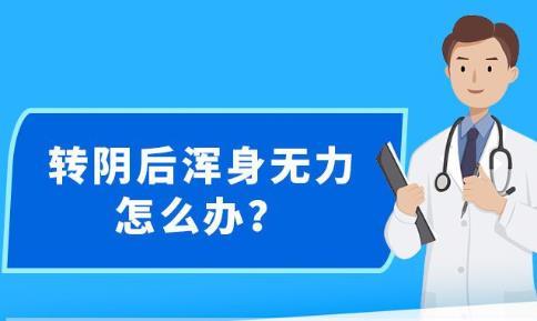 新澳精準資料免費提供,快速處理計劃_尋找版23.553