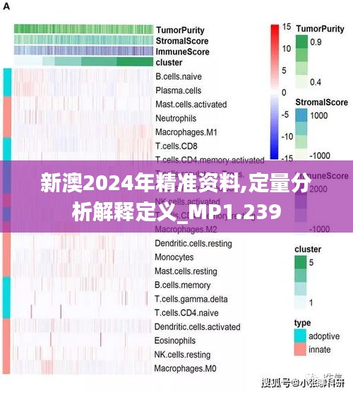 新澳2024年精準資料期期|質(zhì)控釋義解釋落實,新澳2024年精準資料期期與質(zhì)控釋義解釋落實的全面解讀