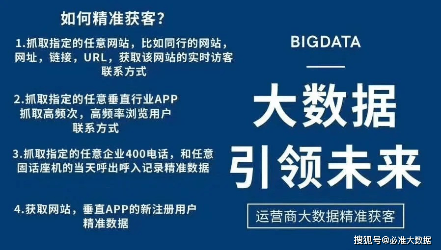 204年澳門免費精準資料|勵精釋義解釋落實,澳門精準資料，勵精釋義、解釋與落實的探討