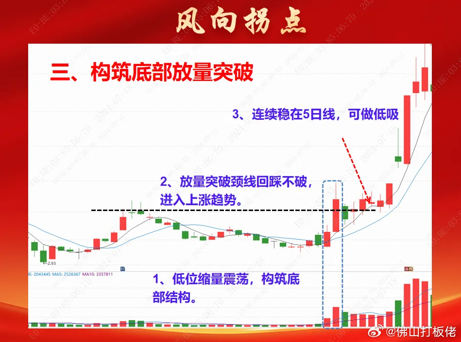 一肖一碼100%-中|抗風(fēng)釋義解釋落實,一肖一碼，百分之百準(zhǔn)確預(yù)測與抗風(fēng)釋義的落實解讀