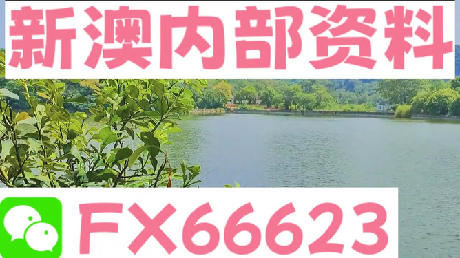 新澳精準(zhǔn)資料大全免費(fèi)|再造釋義解釋落實(shí),新澳精準(zhǔn)資料大全免費(fèi)，再造釋義、解釋與落實(shí)的探討