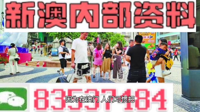 2024新澳最精準(zhǔn)資料222期|現(xiàn)實(shí)釋義解釋落實(shí),新澳2024年精準(zhǔn)資料解析與落實(shí)策略，現(xiàn)實(shí)釋義與解釋落實(shí)的探討（第222期）