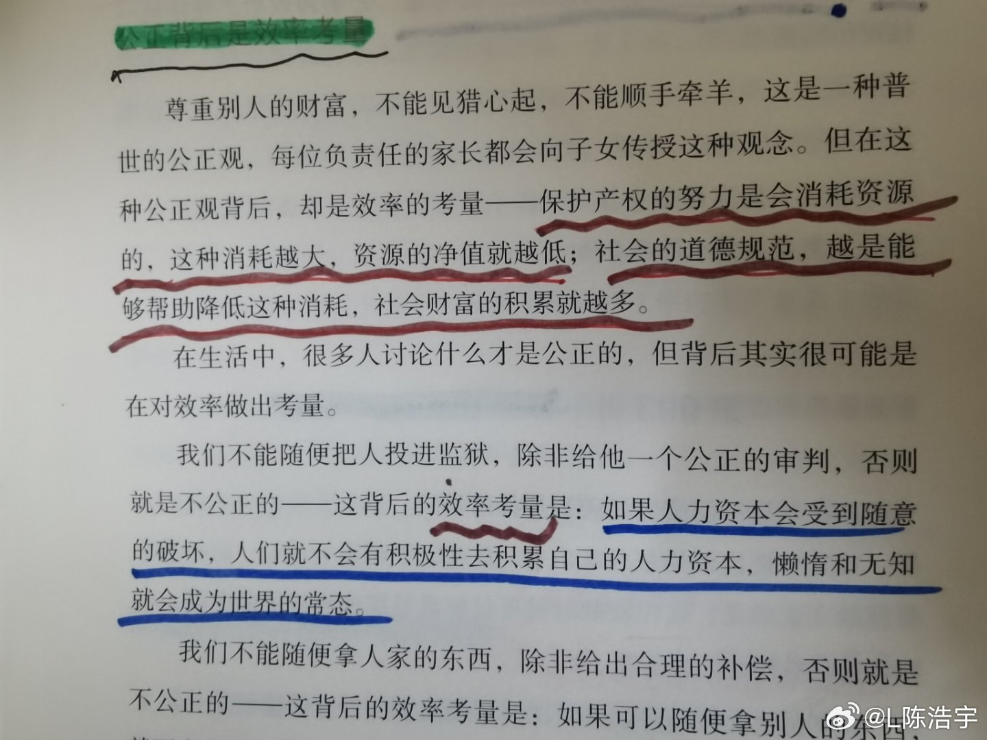 一肖一碼一一肖一子|理性釋義解釋落實,一肖一碼一一肖一子，理性釋義、解釋與落實