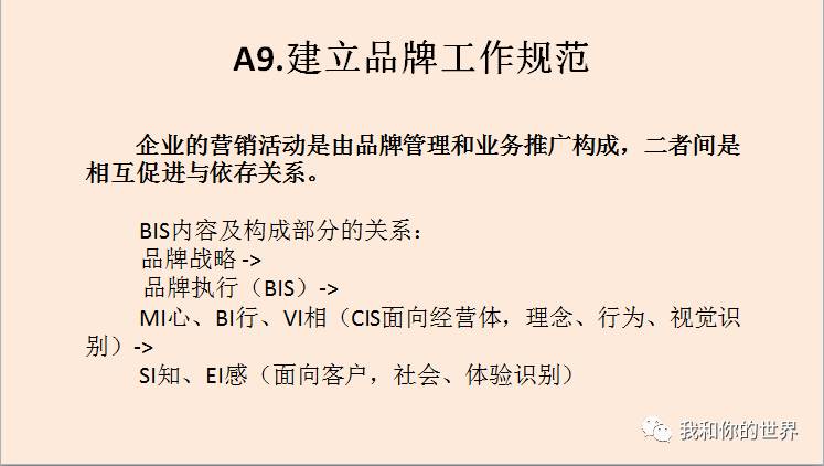 管家婆最準一碼一肖|顧客釋義解釋落實,管家婆最準一碼一肖，顧客釋義解釋落實的深度探討