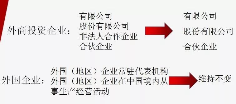 澳門平特一肖100最準(zhǔn)一肖必中|迎接釋義解釋落實(shí),澳門平特一肖，揭秘預(yù)測(cè)準(zhǔn)確率最高的生肖選擇策略與迎接釋義解釋落實(shí)的重要性