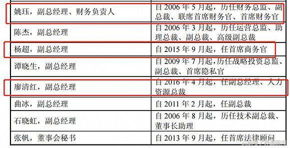 四川長虹重組已成定局|國際釋義解釋落實,四川長虹重組已成定局，國際視角下的釋義、解釋與落實