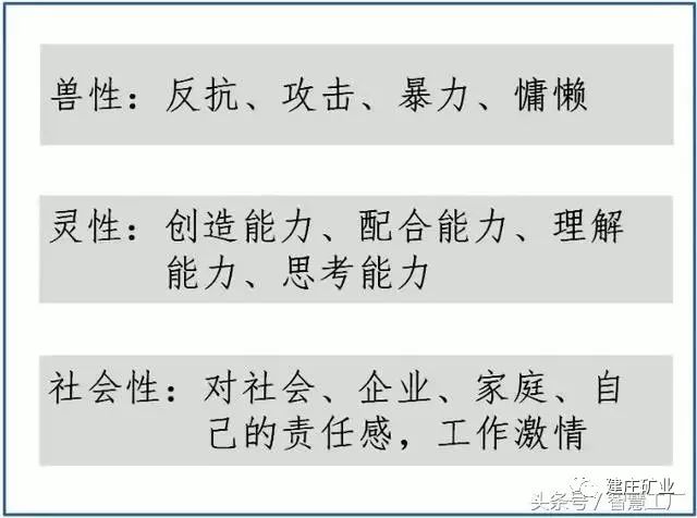 三肖必中特三肖三碼的答案|心智釋義解釋落實,探索心智釋義解釋落實與三肖必中特三肖三碼的答案