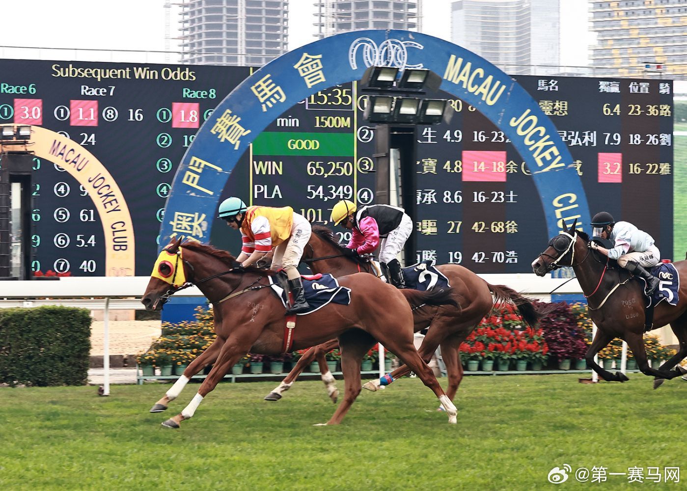 今晚澳門馬出什么特馬|化分釋義解釋落實,今晚澳門馬出什么特馬——化分釋義、解釋與落實